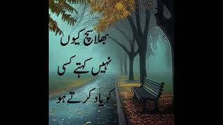 Bhala Such kuo Ni kahty Kisi Ko yad kerty Ho I Best Urdu Poetry amp Inspirations I Slickers DIARY [upl. by Kado]