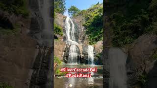 waterfall kodaikanal trip bangalore shorts viral [upl. by Idoj]