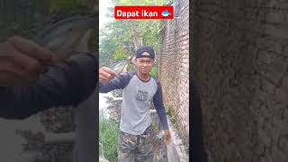 Dpat ikan mantap gaspoll fishing [upl. by Odlaumor25]