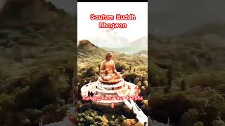 How is this possible Buddh Jinda hai buddham Sharanam gachhami Buddh Bhagwan shortvideo video [upl. by Adnilreb]