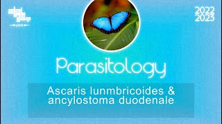 Ascaris lumbricoide Parasitology [upl. by Ekle19]