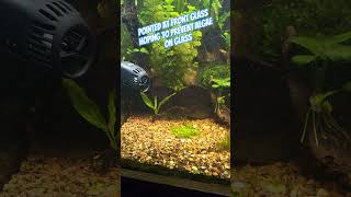 Hygger Wavemaker HG021 in a 75 Gallon Planted Aquarium freshwatertank aquarium [upl. by Nan]