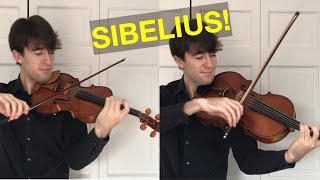 Violin vs Viola Playing the Same Pieces [upl. by Cormack768]