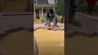 Harringbone Paver Patio throwback october landscape foryou fyp fypシ゚viral shorts subscribe [upl. by Zorana834]