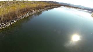 Hundreds of steelhead in the Eel River quot12th Street Runquot [upl. by Grim]