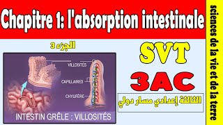 la digestion et labsorption 3eme année collège شرح مبسط [upl. by Akcirret]