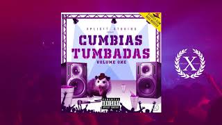 Cumbias Tumbadas Vol1 30min Wepa Mix [upl. by Rosalynd]