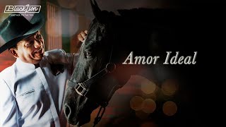 Amor Ideal  Aries Vigoth Audio Oficial [upl. by Aibos]