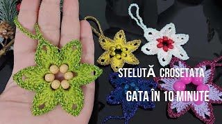 Steluta crosetata  Gata in 10 minute [upl. by Suelo]