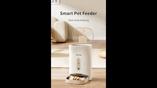 BNETA IoT SMART PET FEEDER F1D [upl. by Ingunna22]