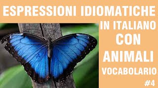 TEST ITALIANO B1 ESPRESSIONI IDIOMATICHE E VOCABOLARIO ANIMALI [upl. by Atinas898]