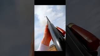 Top 3 Legendary Shots in Pigeon Hunting pigeonhunting birdhunt pigeonfancier chasse aux pigeons [upl. by Eyahsal]