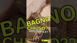 BAGNO CHIUSO IMPOSSIBILE 😹 [upl. by Ecenaj]