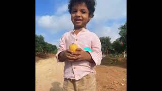 Kapil Agro Farm Visits are available for picking the mangoes from farm fresh  TaazaPanta [upl. by Sayers]