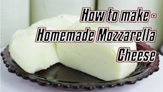 How To Make Mozzarella At Home Easy [upl. by Eirrab905]