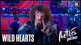 DIRECT – Wild Hearts  Matthijs Gaat Door [upl. by Assillem]