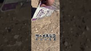 『靴下を求めて〇〇里』🇲🇽🏜️🌵歩いて地球縦断 南北アメリカ大陸徒歩縦断 時速6kmで地球縦断 [upl. by Noerb]