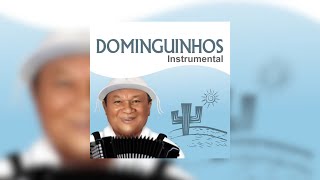 Dominguinhos  quotTreze de Dezembroquot Dominguinhos Instrumental2014 [upl. by Campy123]