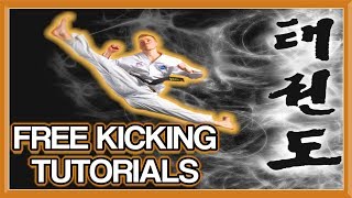 Taekwondo Kicking Tutorials Promo 2018  FREE How to Videos by Ginger Ninja Trickster [upl. by Ellek285]