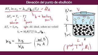 Elevación del Punto de Ebullición [upl. by Sida]