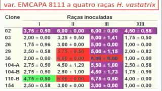 Manejo da ferrugem em café conilonLaércio Zambolim UFV [upl. by Eremaj]