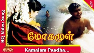 Kamalam Paadha Video Song Moga Mul Tamil Movie Songs  Abishek  Archana Pyramid Music [upl. by Morissa]