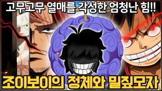 원피스 분석 조이보이는 고무고무 열매 각성자 거대 밀짚모자의 진실과 제2의 조이보이가 될 루피 [upl. by Cordey]