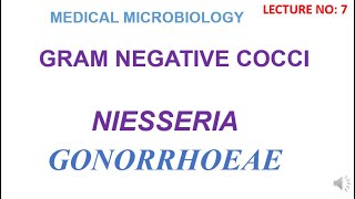 Niesserria Gonnorrhrae  gram negative cocci  medical microbiology lectures [upl. by Alyakcm]