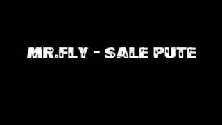 Monsieur Fly  Sale pute [upl. by Adamson]