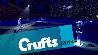 Crufts 2014 Live on YouTube  Crufts [upl. by Haymes]