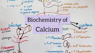 Calcium  Sources Functions Absorption Regulation amp Diseases  Biochemistry of Minerals [upl. by Lonna]