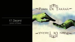 Pumn de Tarana  Decenii [upl. by Ddarb]