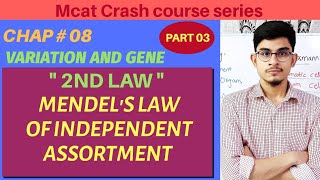 Mendels law of Independent assortment  2nd Law  Variation and Gene part 3  2nd year Biology [upl. by Yaj582]