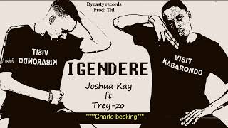 Joshua Kay Igendere ft Trey zo official Lyrics [upl. by Aihtekal]