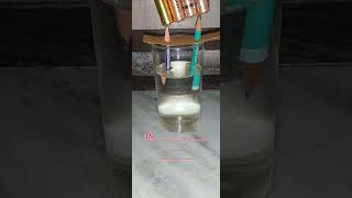 Electrolysis of water  Science experiment  experiment [upl. by Wilmott]