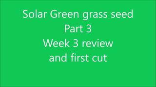 Solar Green grass seed review Part 3 first cut [upl. by Wilkens791]