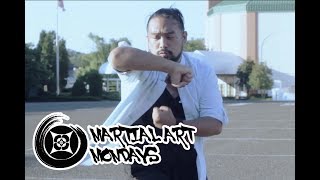 Bajiquan Hakkyokuken  Martial Art Monday [upl. by Sacks]