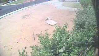 Twister tornado waterspout or dust devil [upl. by Ansev167]