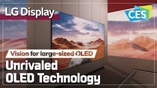 CES 2024 LG Display’s unique OLED technology  Vision for largesized OLED [upl. by Yaf]