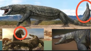 Australias old full of dangerous animals  australia dangerous animals viralvideo video [upl. by Nylarej629]