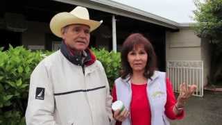 Chatn with PamelaQuarter Horse Trainer Denny Ekins amp The Original SoakingBoot® [upl. by Sesylu]