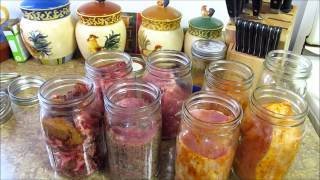 Canning Meat and Straight Talk on Canning in a SHTF [upl. by Hamforrd]