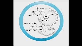 Antiviral animation Acyclovir [upl. by Lauretta]