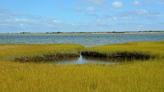 Salt Marshes [upl. by Sifan675]