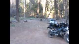 Camping with the Buell Ulysses XB12X [upl. by Drahcir]