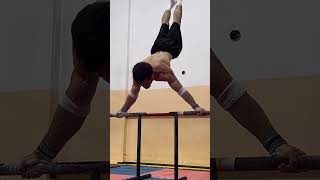 PLANCHER FROM ANOTHER PLANET🔥 streetworkout calisthenics planche oap pushups fitness gym fit [upl. by Eph]