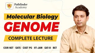 Genome  Molecular biology  Pranav Kumar  CSIR NET  GATE  DBT  ICMR  IIT JAM [upl. by Yrian83]