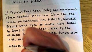 Protein structure Problems 1 [upl. by Asik]