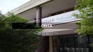 フィリピン留学・セブ島留学 セブナビドットコム  CELLA学校紹介 [upl. by Seyer485]