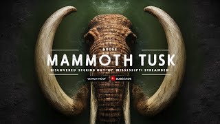 Huge mammoth tusk discovered sticking out of Mississippi streambed [upl. by Hole]